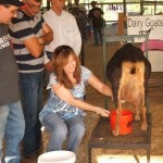 Pam Connell owner of KFFB shows ASU Heber Springs Vice Chancellor Dr. Chris Boyett how to milk a goat (Chris and partner lost and did not get a drop)